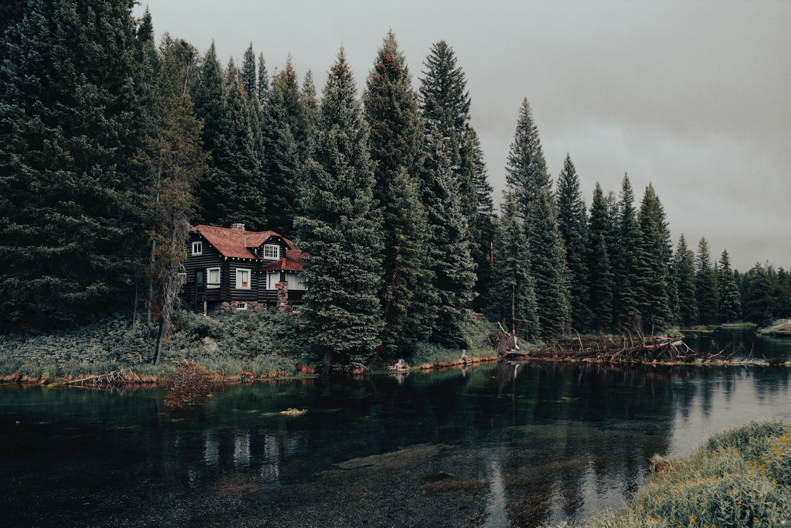 A forest cabin set back among the trees