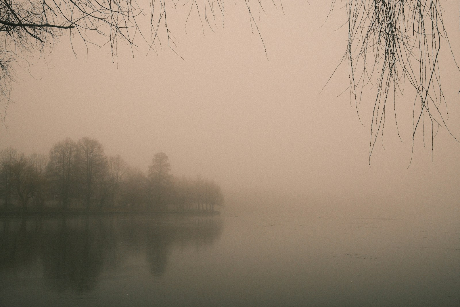 Mist rising off the lake with pines reflected in the still water